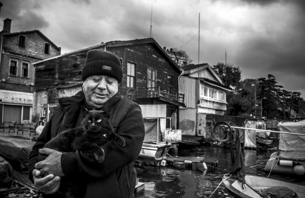 23 крупных плана уличных котов, которые доказывают, что пушистые главные на районе и в жизни
23 крупных плана уличных котов, которые доказывают, что пушистые главные на районе и в жизни