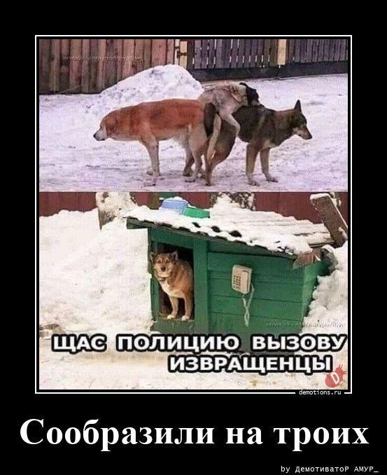 
			Демотиваторы №3786 (15 фото)