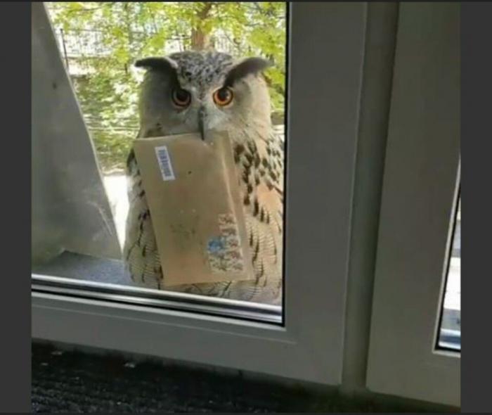 Подборка прикольных фото №3894