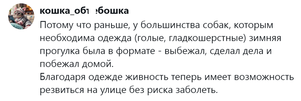 Собачники и не только обсуждают собачий дресс-код, который эволюционировал от свободы к пуховику
Собачники и не только обсуждают собачий дресс-код, который эволюционировал от свободы к пуховику