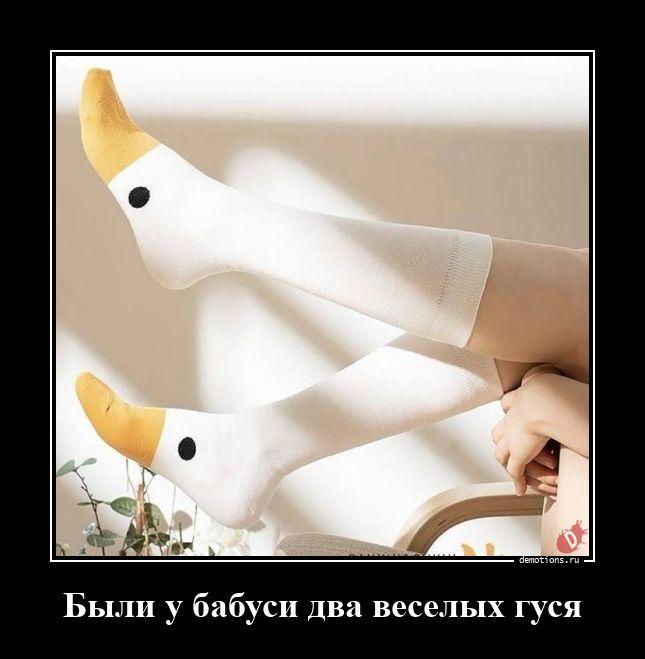 
			Демотиваторы №3783 (15 фото)