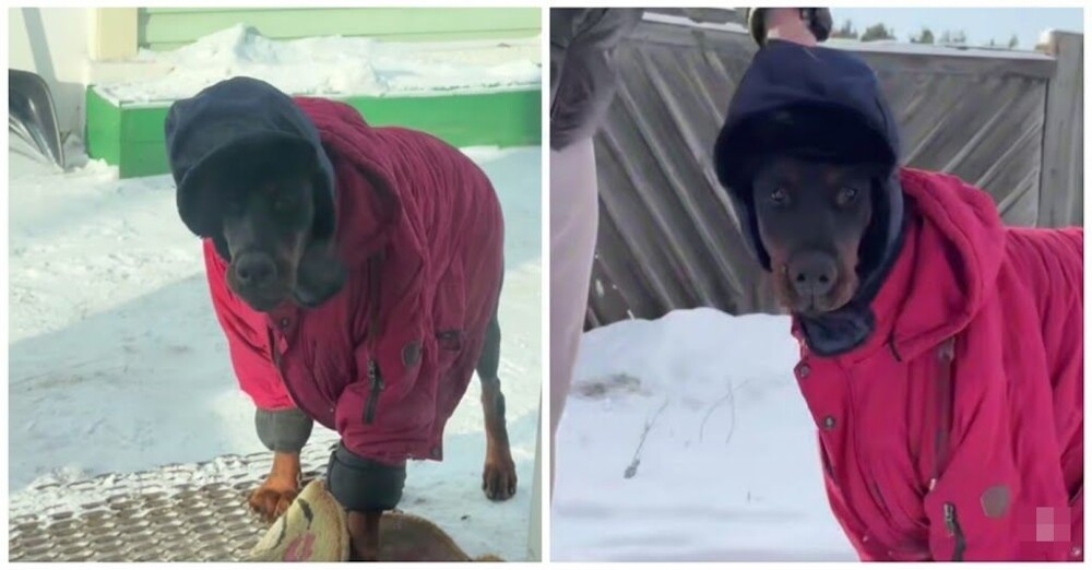 
        Первый парень не&nbsp;деревне    