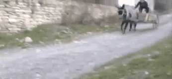 Подборка гифок - (25 гифок) 04.02.2026