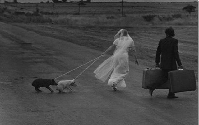 Подборка картинок. Вечерний выпуск - 05.02.2026 (30 фото)