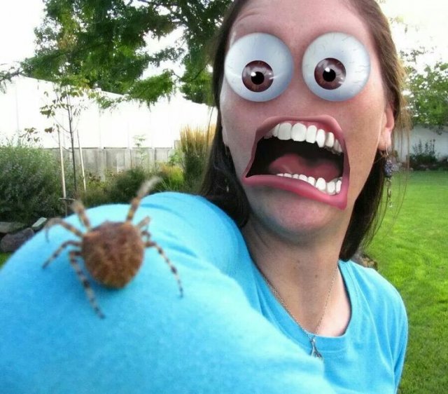 Подборка жутких фото (20 фото)