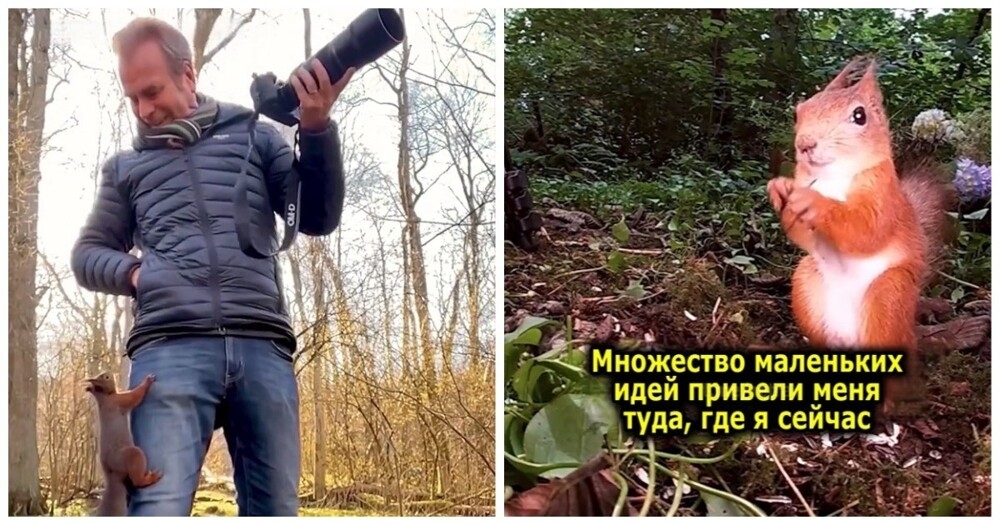 
        Швед, ставший персональным фотографом белок    