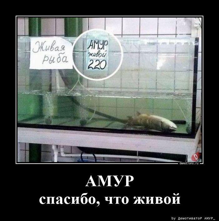 
			Демотиваторы №3785 (18 фото)