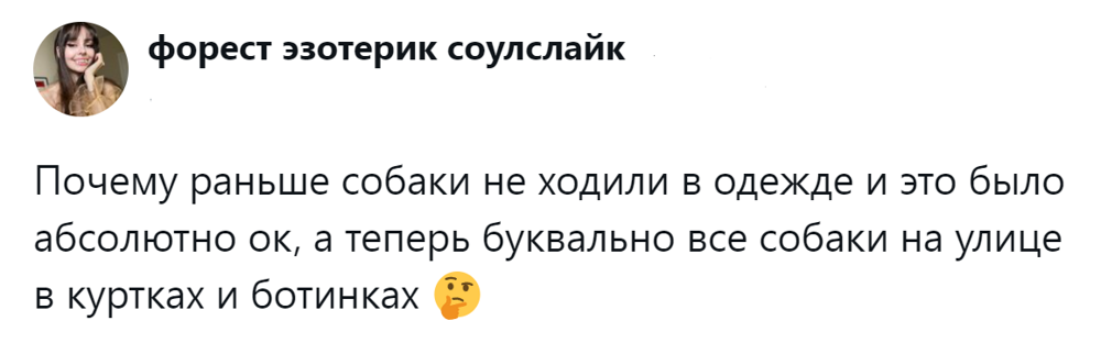 Собачники и не только обсуждают собачий дресс-код, который эволюционировал от свободы к пуховику
Собачники и не только обсуждают собачий дресс-код, который эволюционировал от свободы к пуховику