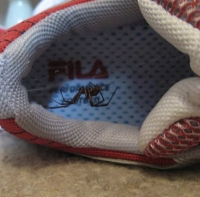 Подборка жутких фото (20 фото)