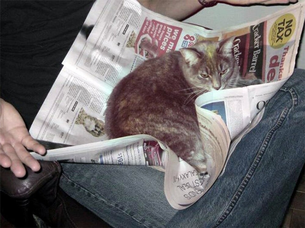 
        20+ питомцев, которые не&nbsp;могут существовать без&nbsp;своего человека    