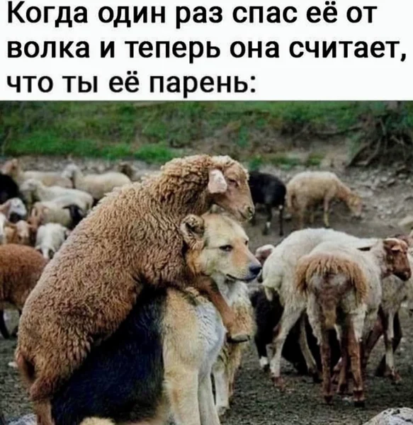 Мемы про девушек, мужчин и отношения (20 фото)