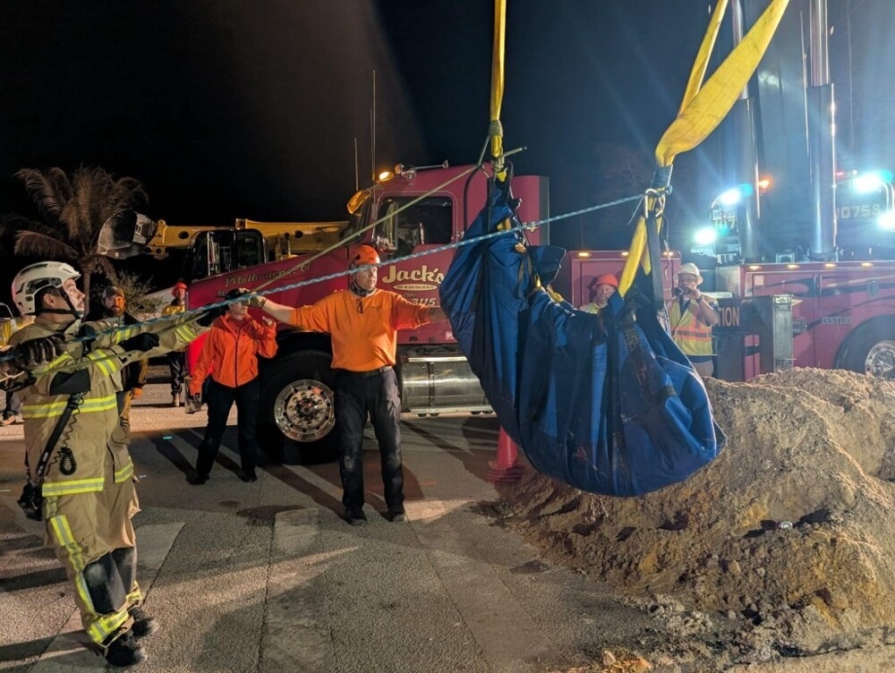 
        В&nbsp;США&nbsp;в&nbsp;канализации обнаружили 186-килограммового ламантина    