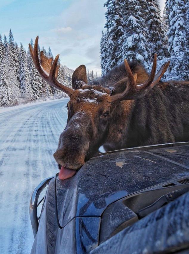 Подборка прикольных фото №3894