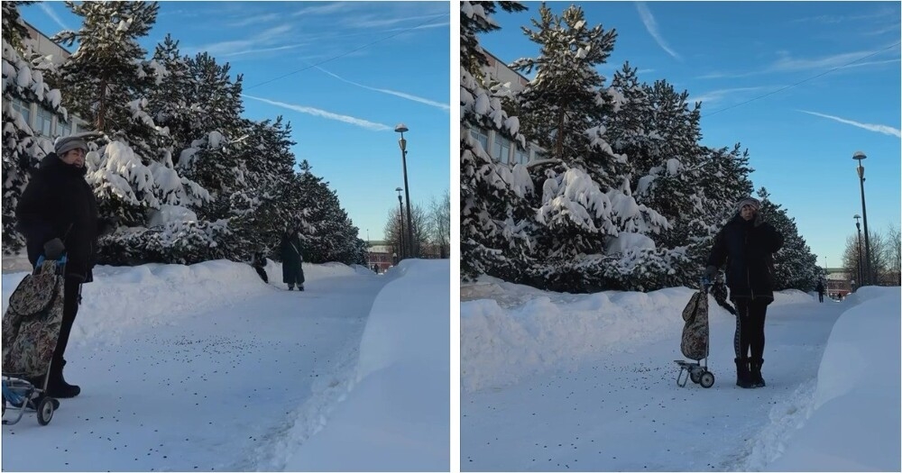 
        Москвичка перепутала штатив с&nbsp;подозрительным предметом    