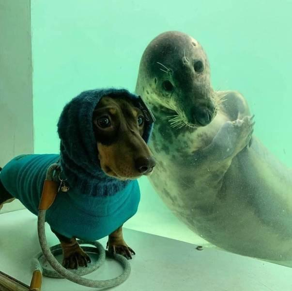 Подборка прикольных фото №3885