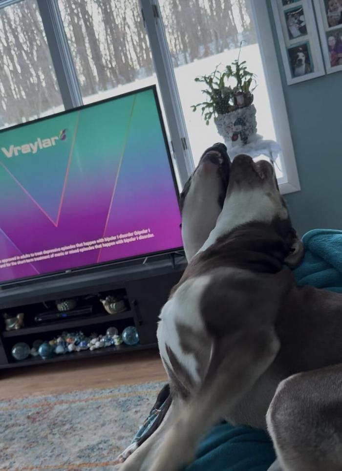 Перспектива любит и умеет нас мастерски троллить