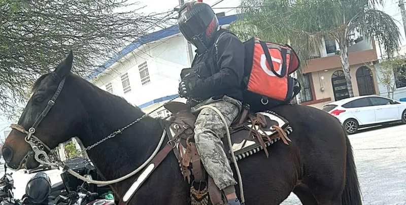 
        Транспорт подвел: курьер решил доставлять заказ верхом на&nbsp;лошади    