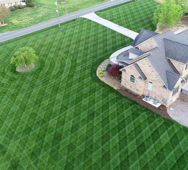 Подборка фотографий для перфекционистов (18 фото)