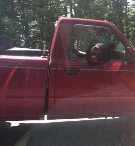 Подборка картинок. Вечерний выпуск - 05.02.2026 (30 фото)