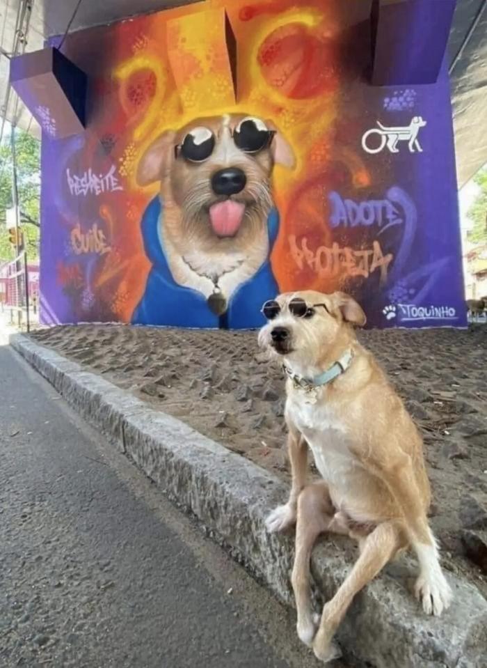 Подборка прикольных фото №3895