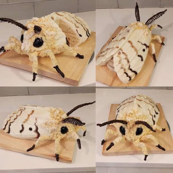 Подборка прикольных фото №3885