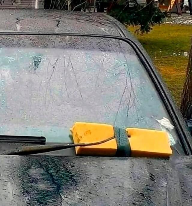 Подборка прикольных фото №3881