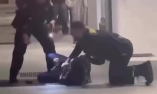 
        В&nbsp;США&nbsp;женщина-полицейская во&nbsp;время задержания по&nbsp;ошибке ударила электрошокером своего напарника    