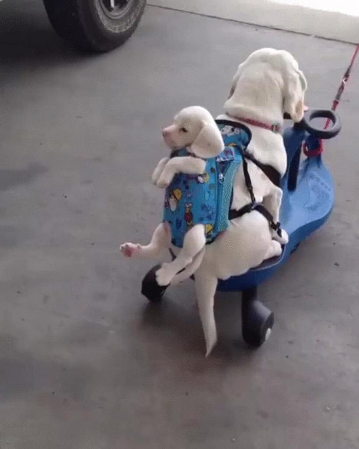 Подборка прикольных фото №3888