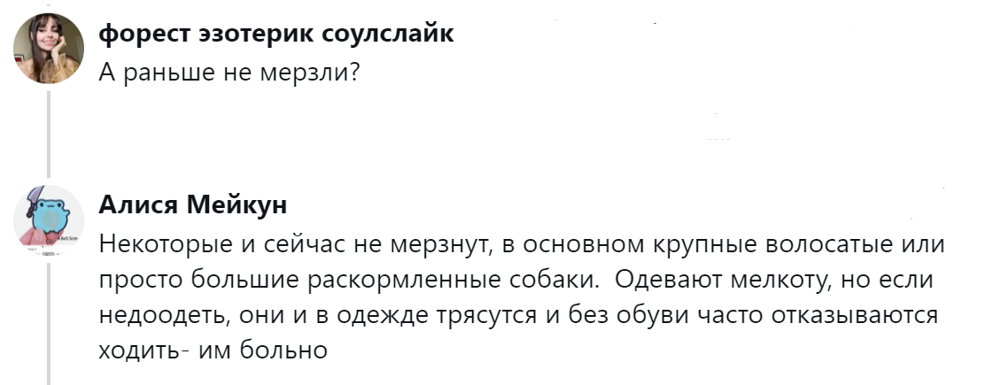 Собачники и не только обсуждают собачий дресс-код, который эволюционировал от свободы к пуховику
Собачники и не только обсуждают собачий дресс-код, который эволюционировал от свободы к пуховику