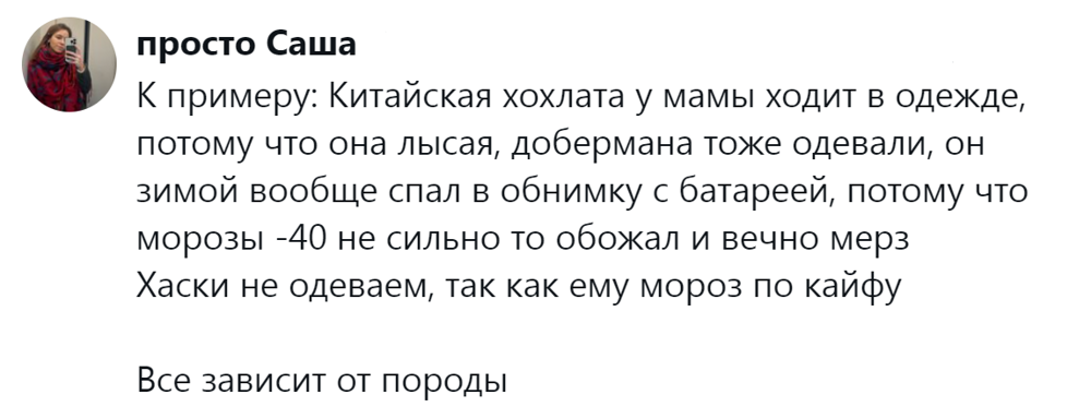 Собачники и не только обсуждают собачий дресс-код, который эволюционировал от свободы к пуховику
Собачники и не только обсуждают собачий дресс-код, который эволюционировал от свободы к пуховику