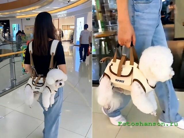 Подборка прикольных фото №3896