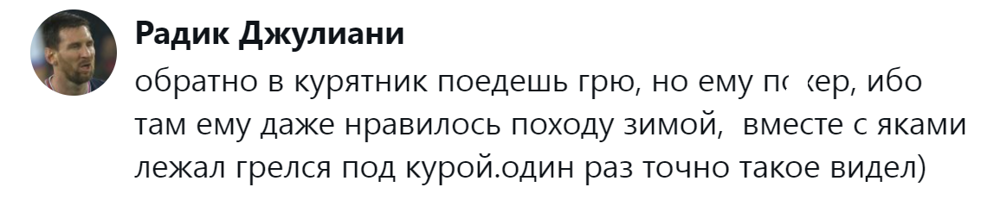 
        &laquo;Цыганам или&nbsp;в&nbsp;кошачий детдом&raquo;: пользователи назвали места, куда грозят отдать кота после переполнения чаши терпения    