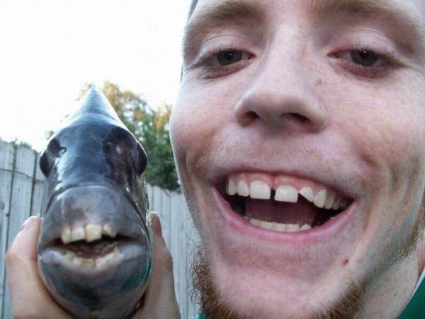 Подборка прикольных фото №3892