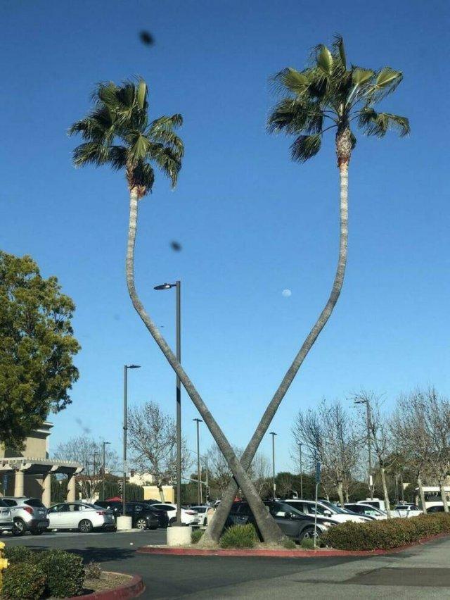 Подборка прикольных фото №3883