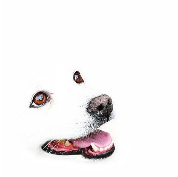 Подборка прикольных фото №3892