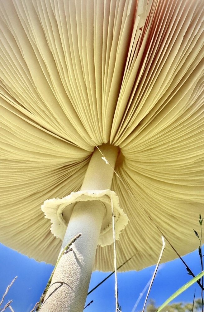 
        30&nbsp;снимков, запечатлевших простую красоту нашего мира    