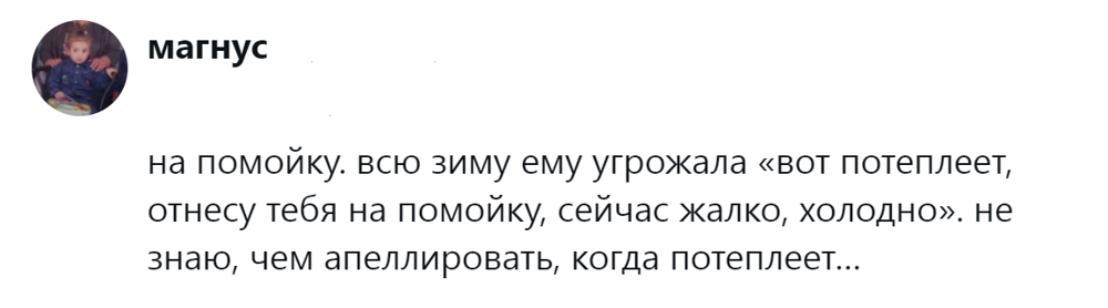 
        &laquo;Цыганам или&nbsp;в&nbsp;кошачий детдом&raquo;: пользователи назвали места, куда грозят отдать кота после переполнения чаши терпения    