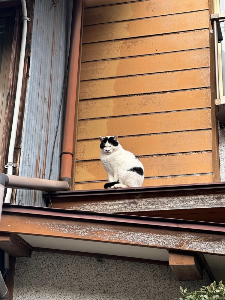 
        30&nbsp;снимков, запечатлевших простую красоту нашего мира    