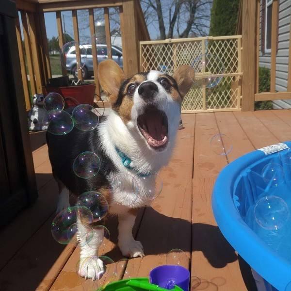 Подборка прикольных фото №3882