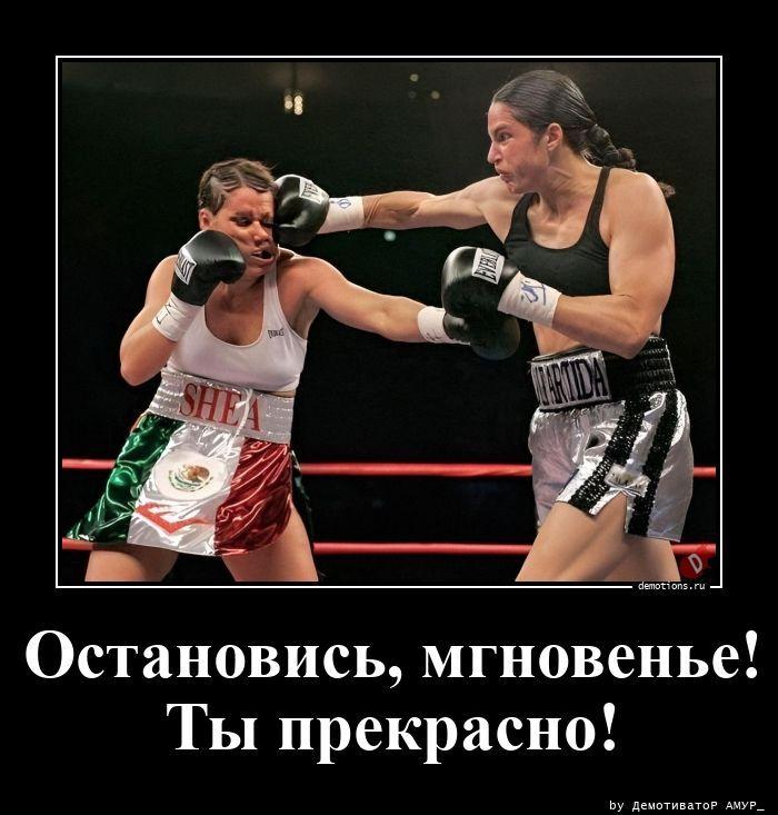 
			Демотиваторы №3783 (15 фото)