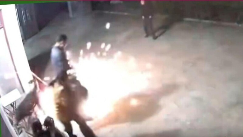 
        Собака неприятно удивила жителей китайского города    