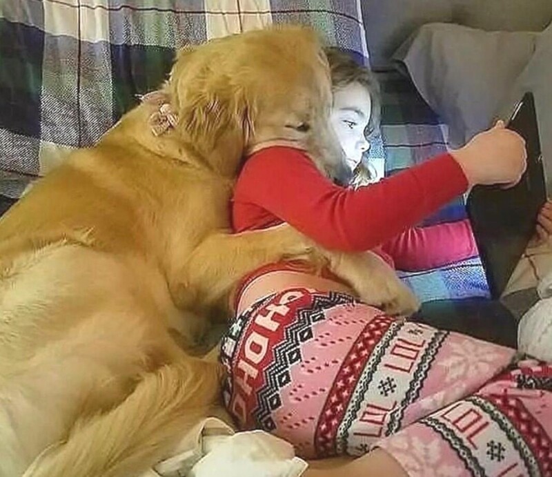 
        24&nbsp;примера милоты, дарящей позитив и&nbsp;чистое тихое счастье    