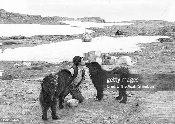 
        Антарктическая одиссея двух хаски: как&nbsp;Таро и&nbsp;Дзиро победили Антарктиду    