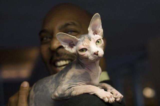 Подборка прикольных фото №3886