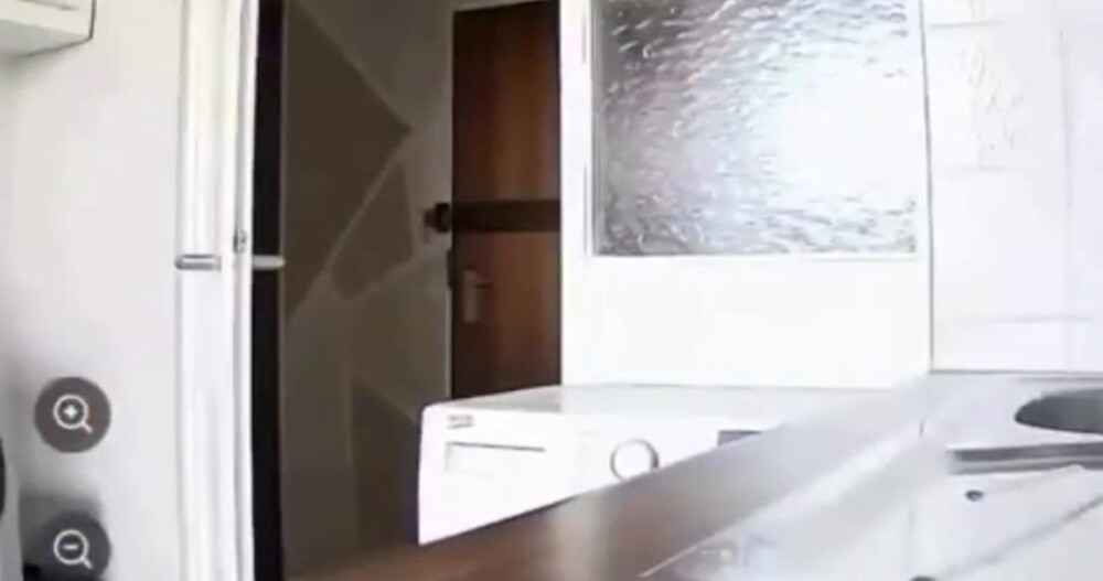 Кот нашёл камеру, которая следила за ним
Кот нашёл камеру, которая следила за ним