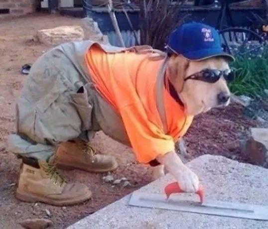 Подборка прикольных фото №3894