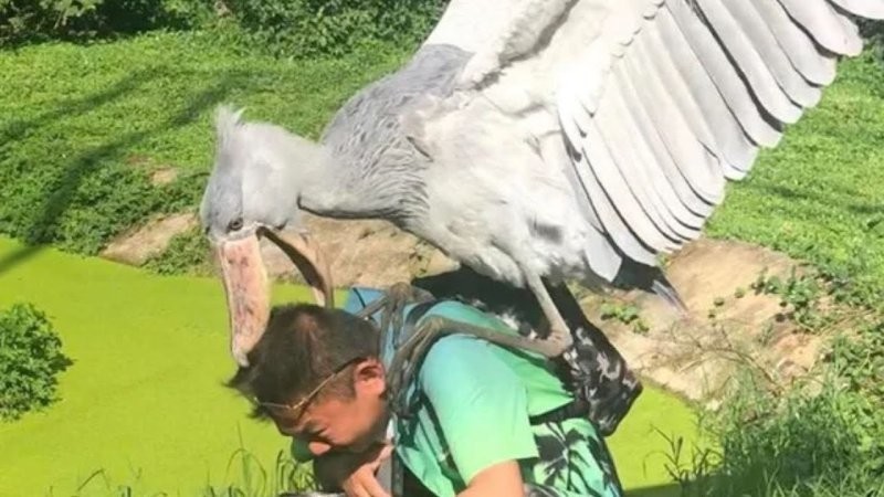 
        24&nbsp;примера милоты, дарящей позитив и&nbsp;чистое тихое счастье    