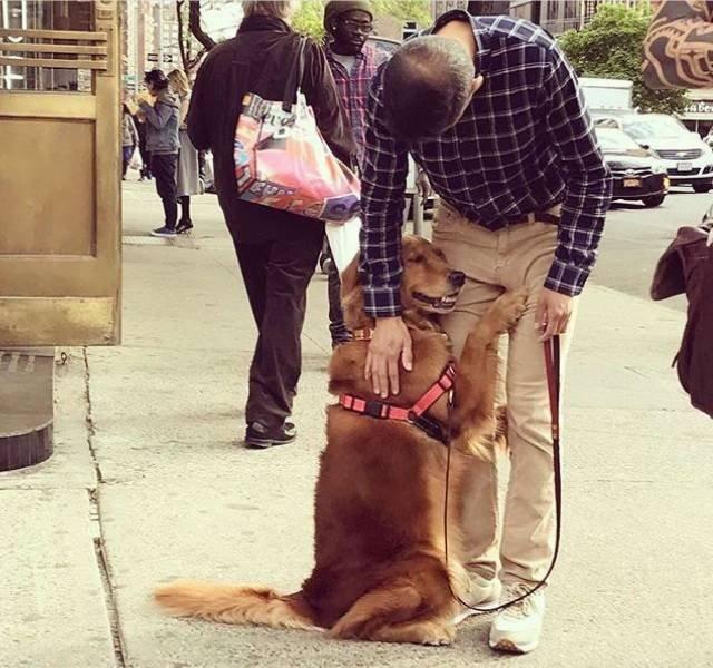 Подборка прикольных фото №3882