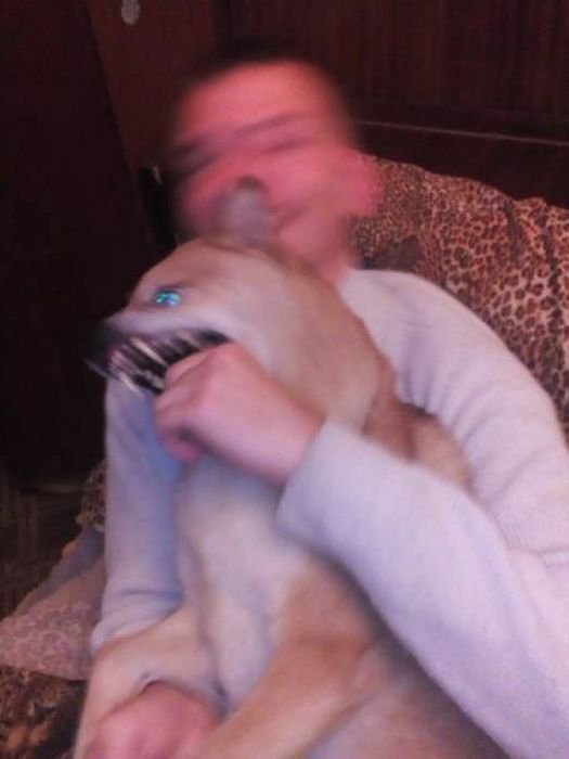 Неприятности случаются (29 фото)