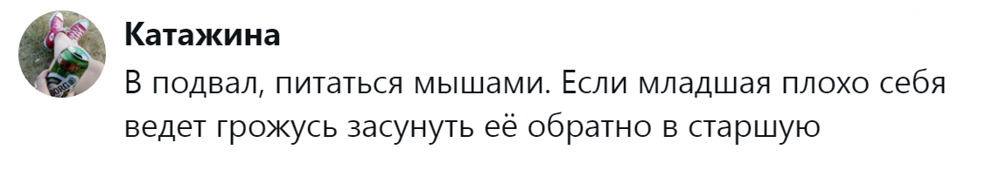 
        &laquo;Цыганам или&nbsp;в&nbsp;кошачий детдом&raquo;: пользователи назвали места, куда грозят отдать кота после переполнения чаши терпения    